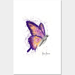 Venus Sunset Butterfly Posters and Art